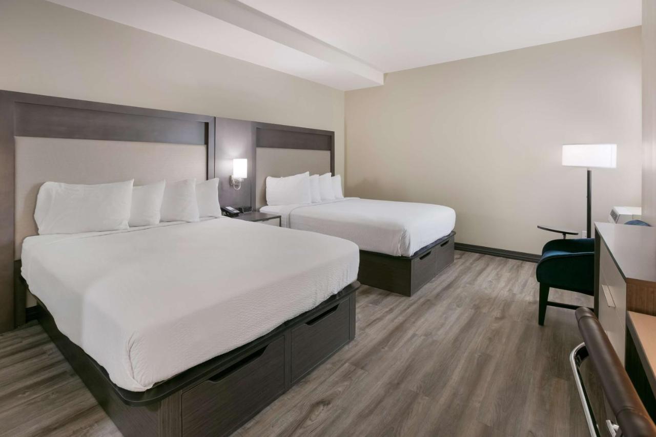 ניו יורק Best Western Plus Executive Residency Bronx מראה חיצוני תמונה